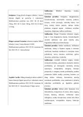 Praktikos ataskaita. Gerontologinio tyrimo ir rekomendacijų planas 18 puslapis