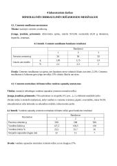 Statybinių medžiagų praktiniai darbai 14 puslapis
