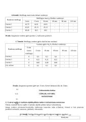 Statybinių medžiagų praktiniai darbai 6 puslapis