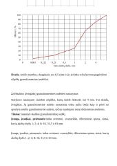 Statybinių medžiagų praktiniai darbai 9 puslapis
