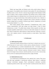 Visuomenė – žmogaus tapimo žmogumi esminė sąlyga ir veiklos laukas 8 puslapis