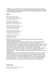 "Vizijos" išsami analizė