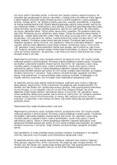 "Vizijos" išsami analizė 3 puslapis