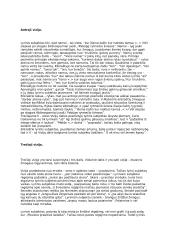 "Vizijos" išsami analizė 4 puslapis