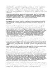 "Vizijos" išsami analizė 5 puslapis