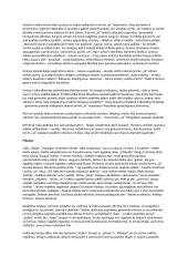 "Vizijos" išsami analizė 6 puslapis