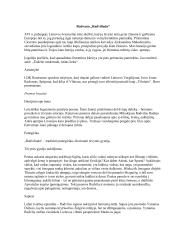 Radvano „Radviliada”