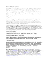 Radvano „Radviliada” 2 puslapis