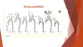 Turnerio sindromu sergančių mergaičių hemodinaminiai sutrikimai aortoje 6 puslapis