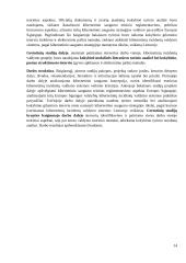 Kibernetinių incidentų valdymo sistemos Lietuvoje analizė 13 puslapis