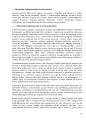 Kibernetinių incidentų valdymo sistemos Lietuvoje analizė 14 puslapis