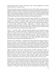 Kibernetinių incidentų valdymo sistemos Lietuvoje analizė 15 puslapis