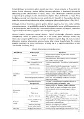 Kibernetinių incidentų valdymo sistemos Lietuvoje analizė 20 puslapis