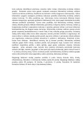 Kibernetinių incidentų valdymo sistemos Lietuvoje analizė 4 puslapis