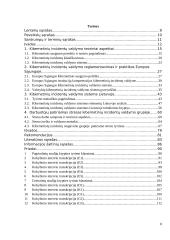 Kibernetinių incidentų valdymo sistemos Lietuvoje analizė 7 puslapis