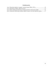 Kibernetinių incidentų valdymo sistemos Lietuvoje analizė 9 puslapis