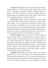 Vorai ir erkės 2 puslapis