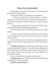 Vorai ir erkės 12 puslapis