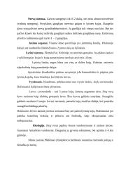 Vorai ir erkės 13 puslapis