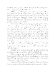 Vorai ir erkės 3 puslapis