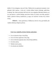 Vorai ir erkės 7 puslapis