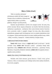 Vorai ir erkės 8 puslapis