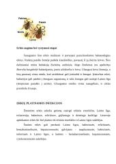 Vorai ir erkės 9 puslapis