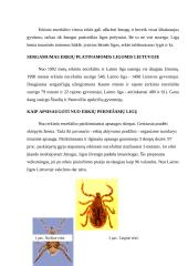 Vorai ir erkės 10 puslapis