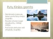 Apie Kiniją išsamiai 6 puslapis