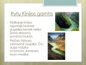 Apie Kiniją išsamiai 7 puslapis