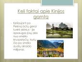 Apie Kiniją išsamiai 10 puslapis