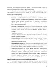 Panevėžio visuomenės sveikatos centro veiklos organizavimas 13 puslapis