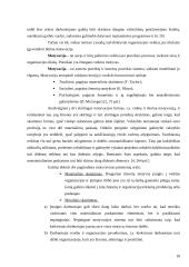 Panevėžio visuomenės sveikatos centro veiklos organizavimas 18 puslapis