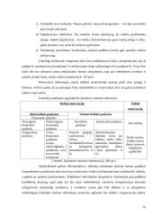 Panevėžio visuomenės sveikatos centro veiklos organizavimas 19 puslapis