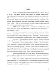 Panevėžio visuomenės sveikatos centro veiklos organizavimas 3 puslapis