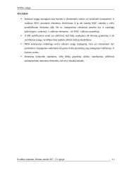 Wimax saugumas 11 puslapis