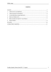 Wimax saugumas 3 puslapis