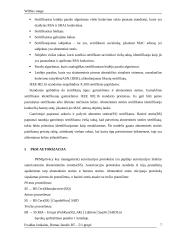 Wimax saugumas 7 puslapis