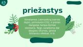 Klimato kaita. Kas tai? 4 puslapis