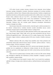 XVII amžiaus II pusės Vilniaus miesto valdančiojo elito gyvenimo būdas 2 puslapis