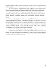 XVII amžiaus II pusės Vilniaus miesto valdančiojo elito gyvenimo būdas 11 puslapis