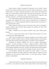 XVII amžiaus II pusės Vilniaus miesto valdančiojo elito gyvenimo būdas 4 puslapis