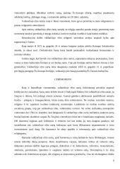 XVII amžiaus II pusės Vilniaus miesto valdančiojo elito gyvenimo būdas 7 puslapis