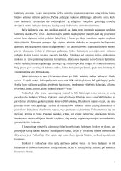 XVII amžiaus II pusės Vilniaus miesto valdančiojo elito gyvenimo būdas 8 puslapis