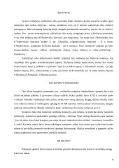 XVII amžiaus II pusės Vilniaus miesto valdančiojo elito gyvenimo būdas 9 puslapis