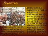 Budizmo atsiradimas, paplitimas ir esminiai faktai 16 puslapis