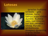 Budizmo atsiradimas, paplitimas ir esminiai faktai 10 puslapis