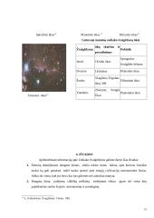 Zodiako žvaigždynai: svarbiausios žvaigždės ir kosminiai objektai juose 10 puslapis