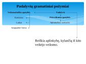 Neasmenuojamosios veiksmažodžio formos 13 puslapis
