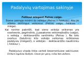 Neasmenuojamosios veiksmažodžio formos 15 puslapis